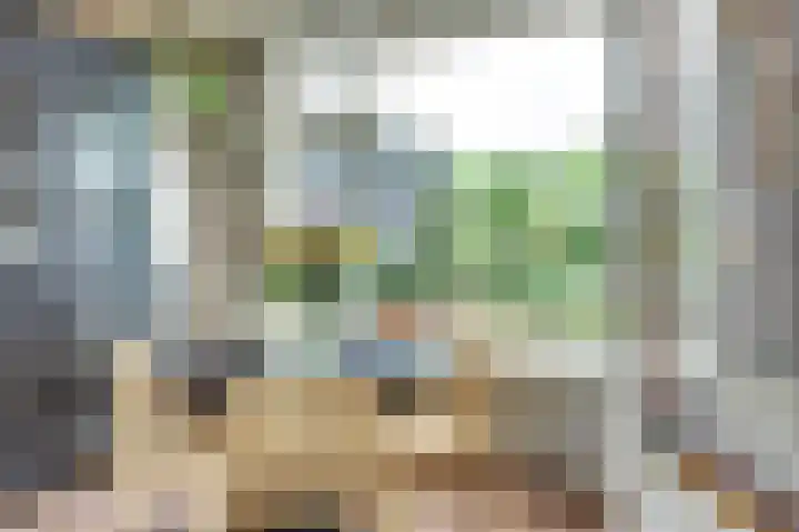 Het Witte Huis 10 Sleeuwijk thumbnail 11