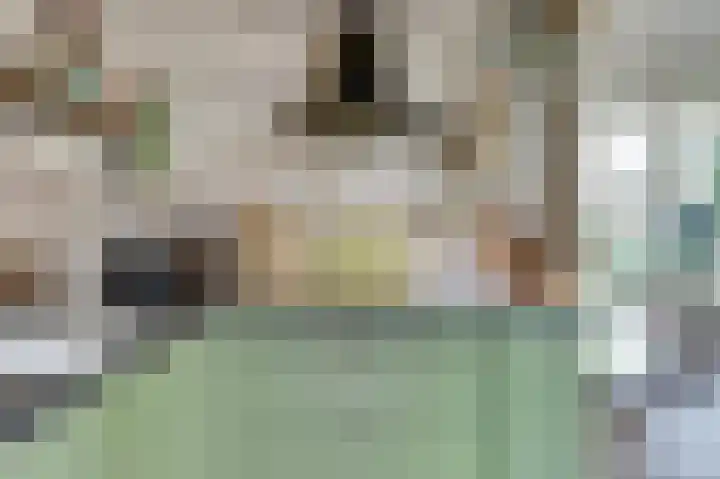 Het Witte Huis 10 Sleeuwijk thumbnail 12