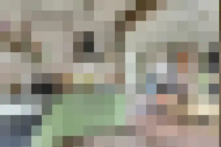 Het Witte Huis 10 Sleeuwijk thumbnail 13