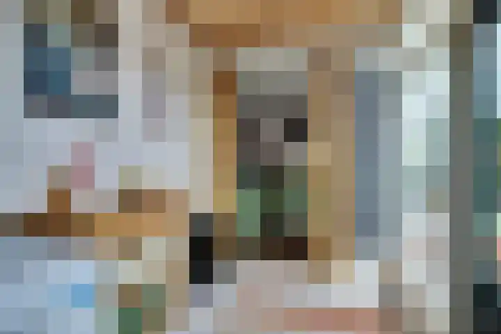 Het Witte Huis 10 Sleeuwijk thumbnail 16