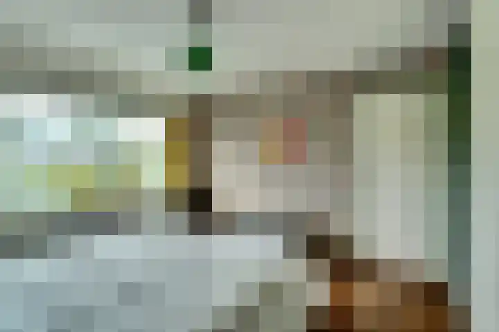 Het Witte Huis 10 Sleeuwijk thumbnail 20