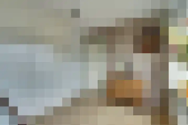 Het Witte Huis 10 Sleeuwijk thumbnail 24