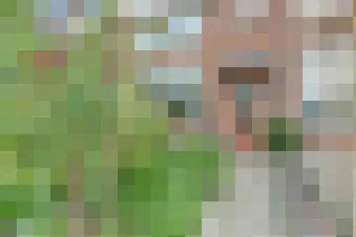 Het Witte Huis 10 Sleeuwijk thumbnail 26