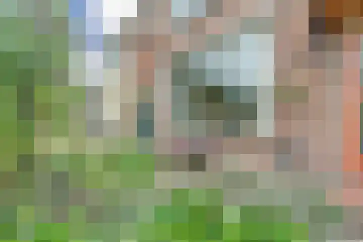 Het Witte Huis 10 Sleeuwijk thumbnail 27