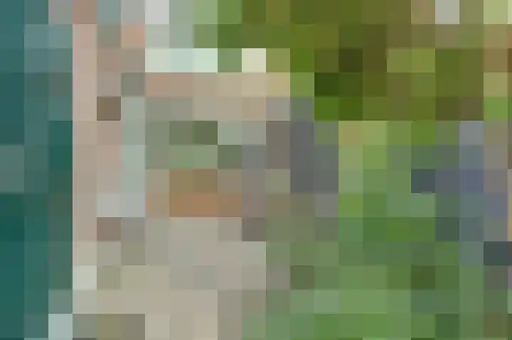 Het Witte Huis 10 Sleeuwijk thumbnail 28
