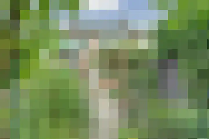 Het Witte Huis 10 Sleeuwijk thumbnail 29
