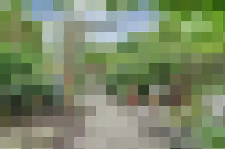 Het Witte Huis 10 Sleeuwijk thumbnail 32