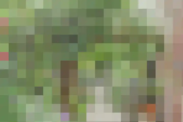 Het Witte Huis 10 Sleeuwijk thumbnail 36