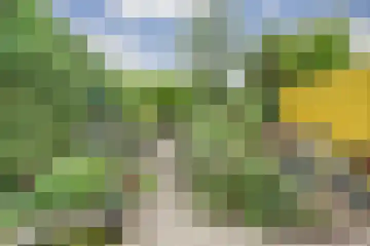 Het Witte Huis 10 Sleeuwijk thumbnail 37