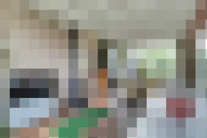 Het Witte Huis 10 Sleeuwijk thumbnail 8