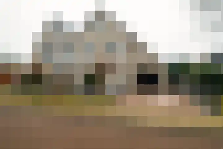 het Witte Zand 42 Overdinkel
