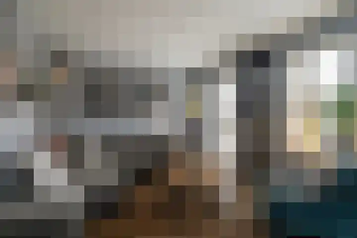 het Witte Zand 42 Overdinkel thumbnail 12