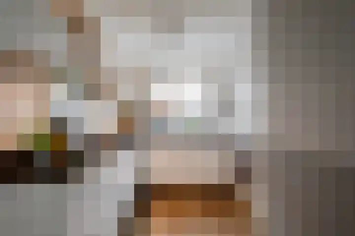 het Witte Zand 42 Overdinkel thumbnail 16