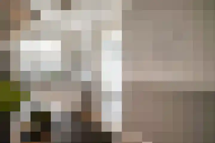 het Witte Zand 42 Overdinkel thumbnail 18