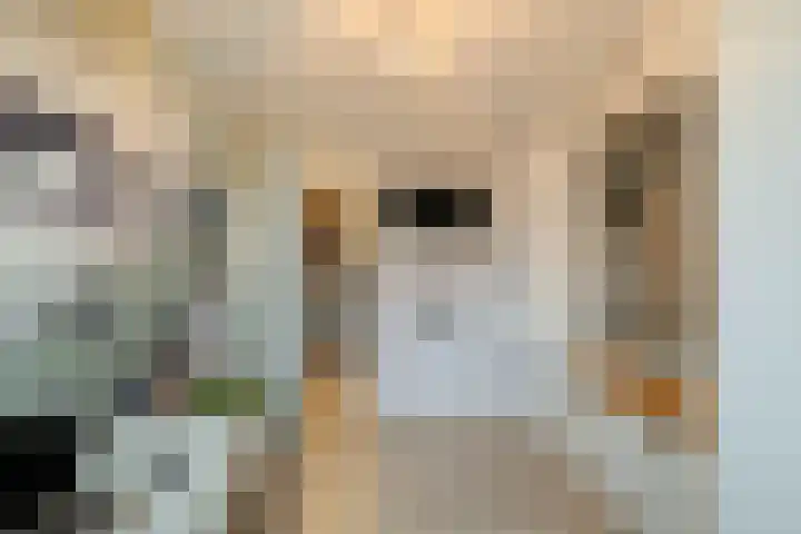 het Witte Zand 42 Overdinkel thumbnail 27