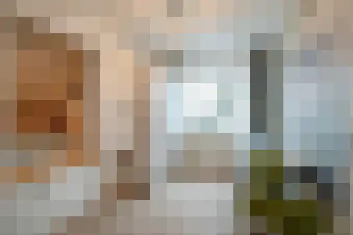 het Witte Zand 42 Overdinkel thumbnail 28
