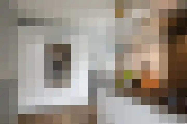 het Witte Zand 42 Overdinkel foto 3