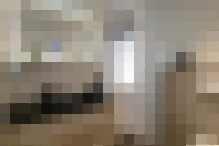 het Witte Zand 42 Overdinkel thumbnail 32