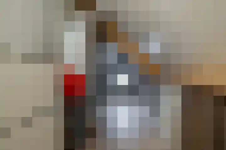 het Witte Zand 42 Overdinkel thumbnail 33