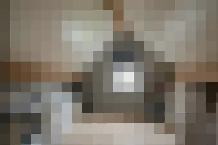 het Witte Zand 42 Overdinkel thumbnail 36