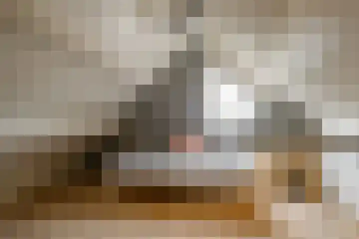 het Witte Zand 42 Overdinkel thumbnail 37