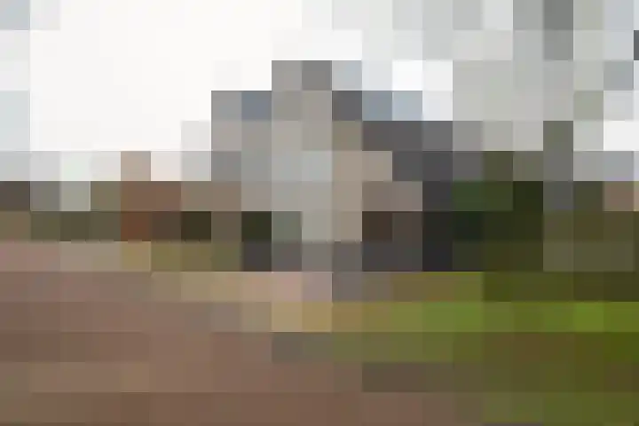 het Witte Zand 42 Overdinkel thumbnail 4