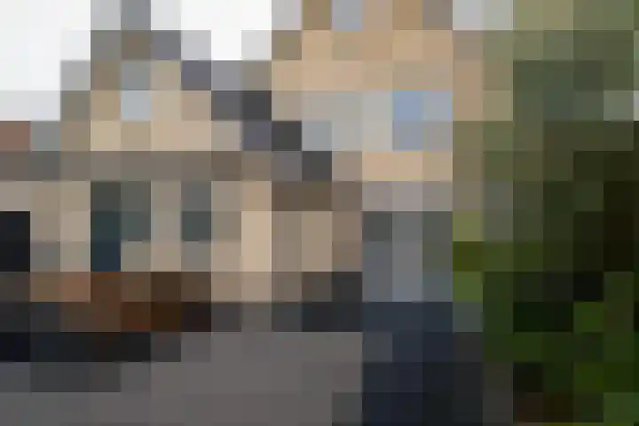 het Witte Zand 42 Overdinkel thumbnail 40