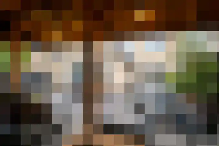 het Witte Zand 42 Overdinkel thumbnail 41