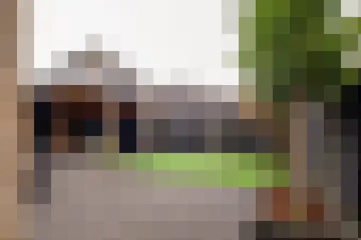 het Witte Zand 42 Overdinkel thumbnail 43