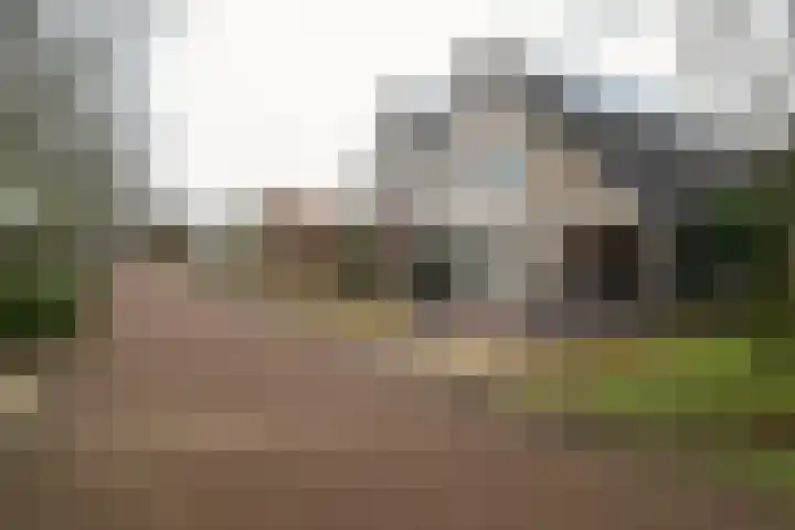 het Witte Zand 42 Overdinkel thumbnail 46