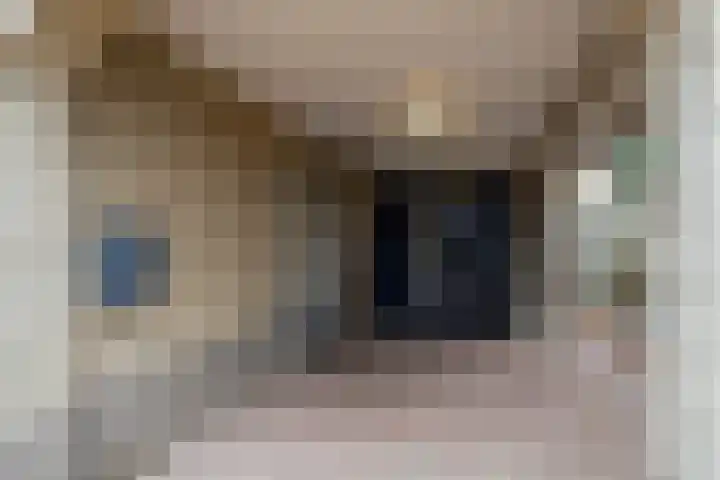 het Witte Zand 42 Overdinkel thumbnail 6