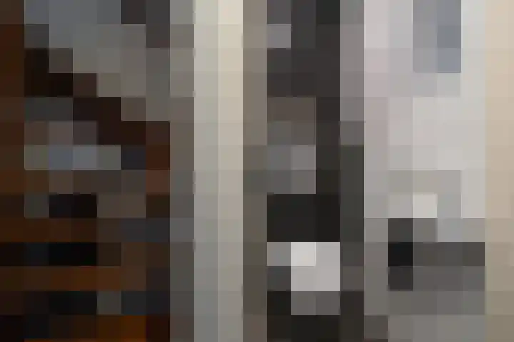 het Witte Zand 42 Overdinkel thumbnail 9