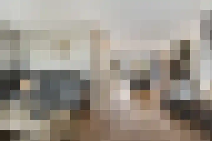 het Witte Zand 56 Overdinkel thumbnail 12