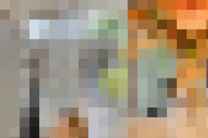 het Witte Zand 56 Overdinkel thumbnail 15