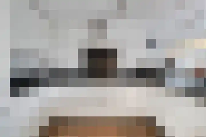 het Witte Zand 56 Overdinkel thumbnail 16