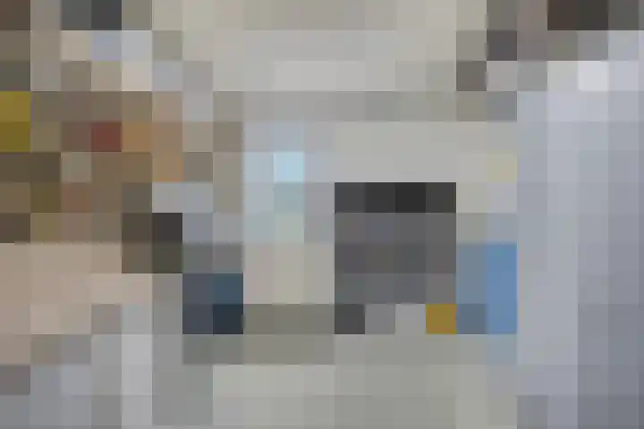 het Witte Zand 56 Overdinkel thumbnail 20