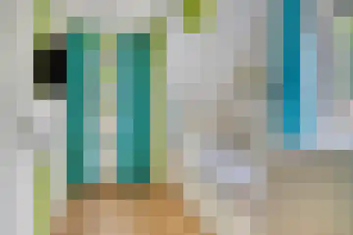 het Witte Zand 56 Overdinkel thumbnail 27