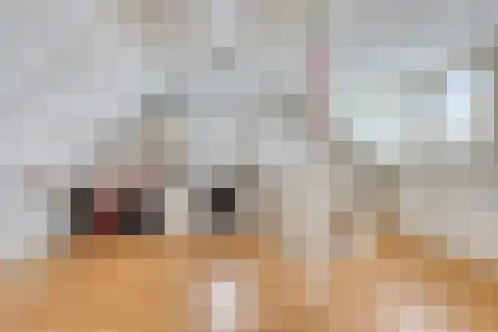 het Witte Zand 56 Overdinkel thumbnail 30