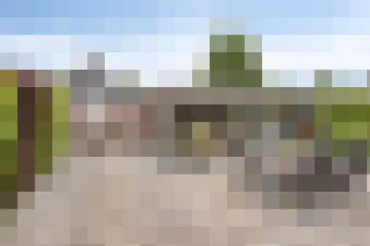 het Witte Zand 56 Overdinkel thumbnail 32