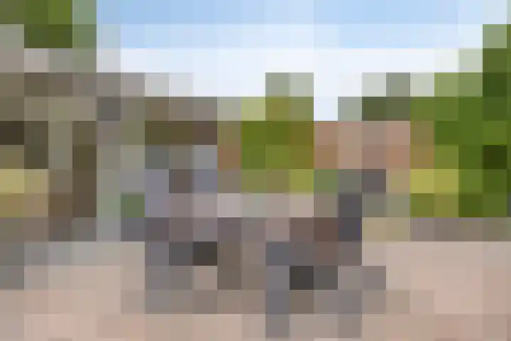 het Witte Zand 56 Overdinkel thumbnail 33
