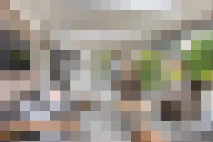 het Witte Zand 56 Overdinkel thumbnail 34