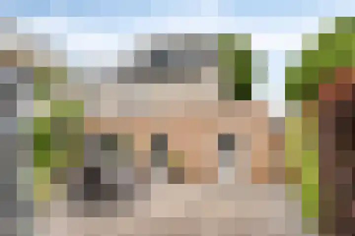 het Witte Zand 56 Overdinkel thumbnail 37