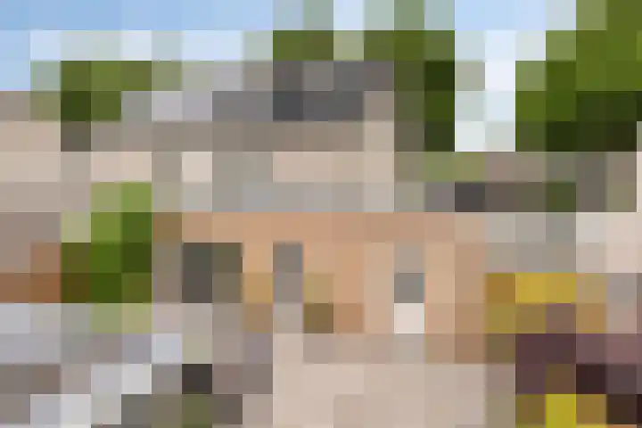 het Witte Zand 56 Overdinkel thumbnail 38