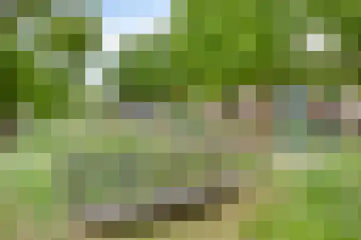 het Witte Zand 56 Overdinkel thumbnail 39