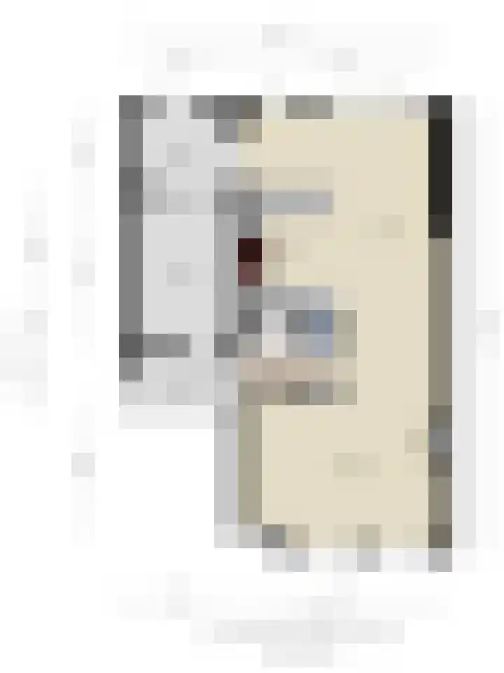 het Witte Zand 56 Overdinkel thumbnail 40