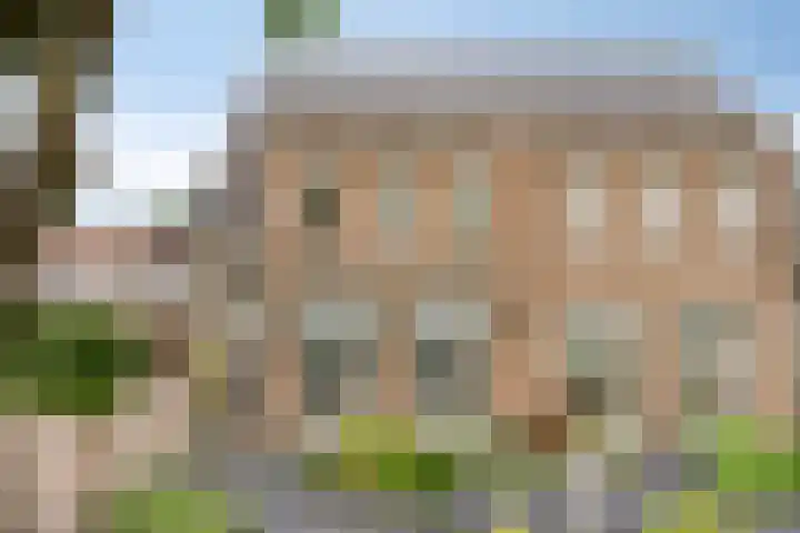 het Witte Zand 56 Overdinkel thumbnail 5