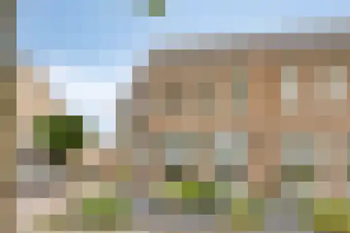 het Witte Zand 56 Overdinkel thumbnail 6