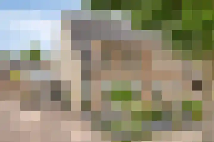 het Witte Zand 56 Overdinkel thumbnail 7