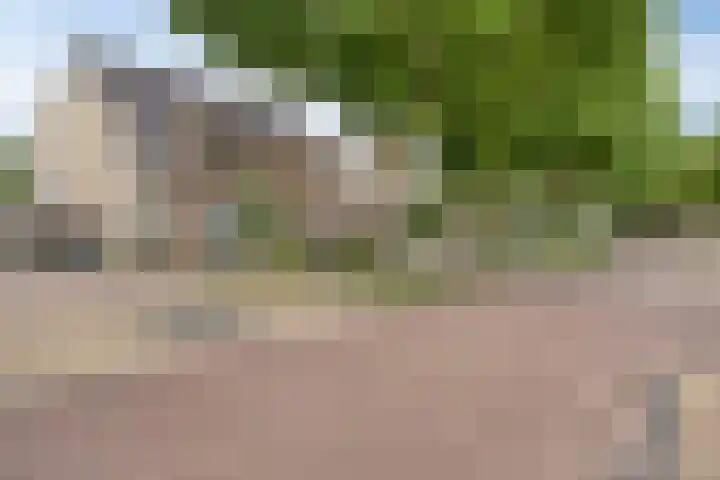 het Witte Zand 56 Overdinkel thumbnail 8