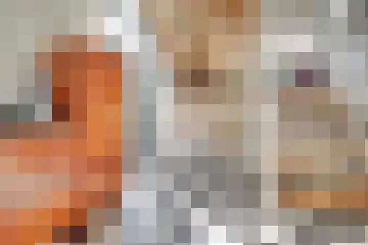 Het Wolfseind 18 Amersfoort thumbnail 10